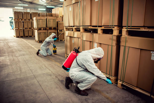 Best Residential Pest Control  in Friona, TX