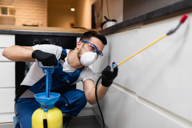 Best Pest Prevention Services  in Friona, TX