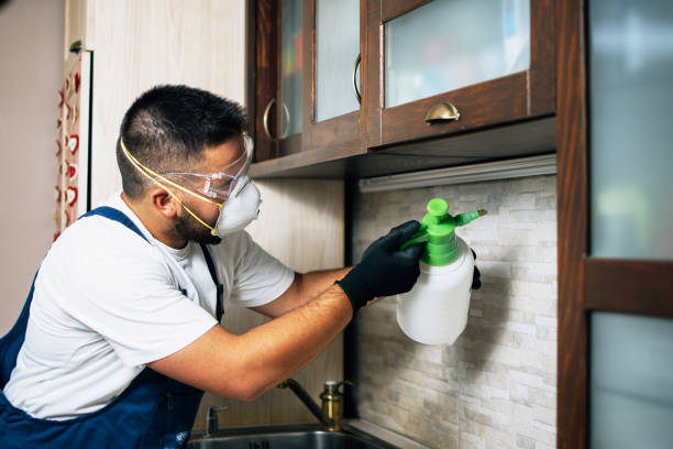 Best Pest Removal Services  in Friona, TX