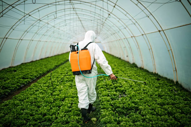 Pest Control Cost in Friona, TX