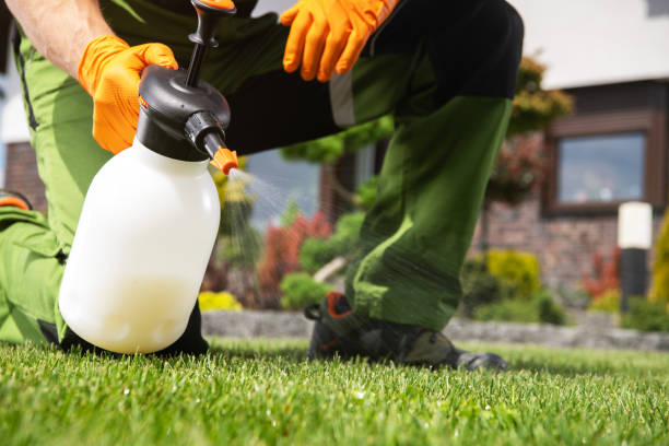 Best Pest Inspection Near Me  in Friona, TX