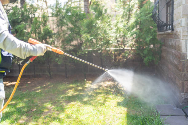 Best Affordable Pest Control Services  in Friona, TX