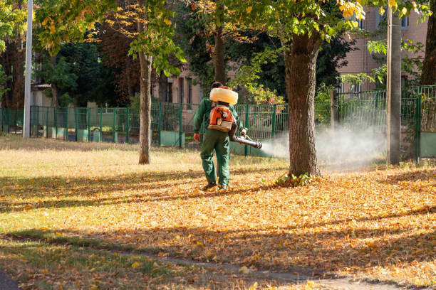 Best Best Pest Control Companies  in Friona, TX