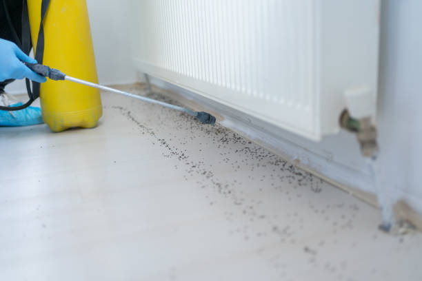 Best Cockroach Control Services  in Friona, TX