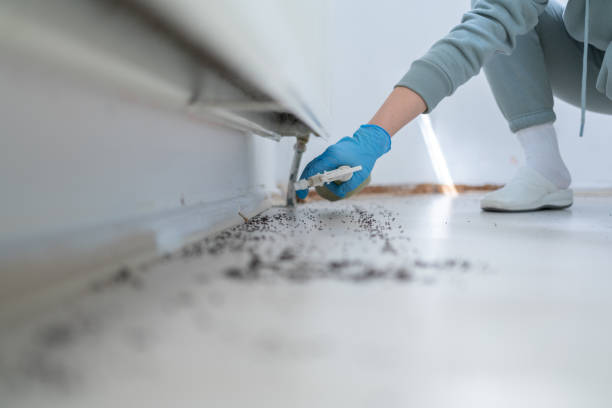 Best Bed Bug Extermination  in Friona, TX